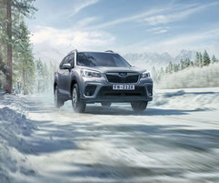 Для галереи forester 2019: