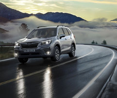 Для галереи forester 2019: