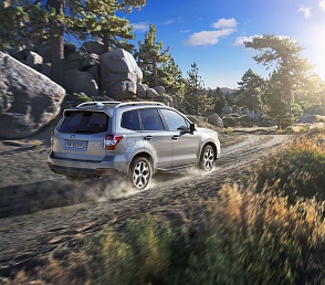 Subaru Forester против стихии