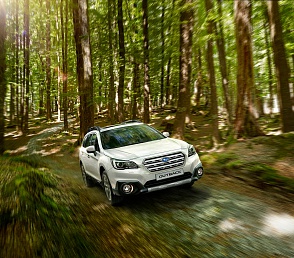 Динамичный Subaru Outback